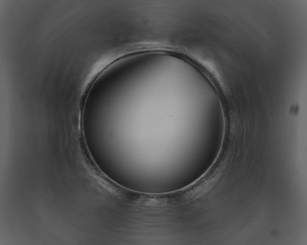 X0000091511365200708241620