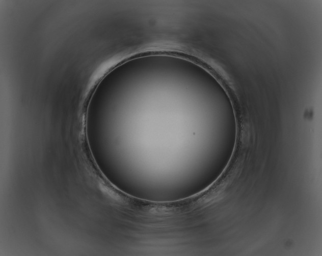 X0000091511366200708241620