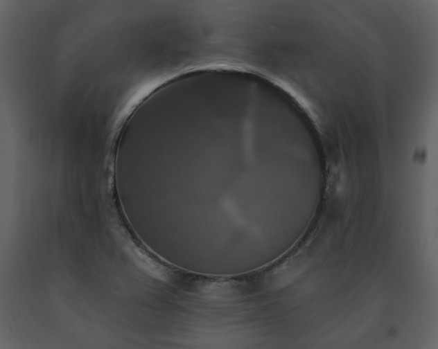 X0000091511367200708241620