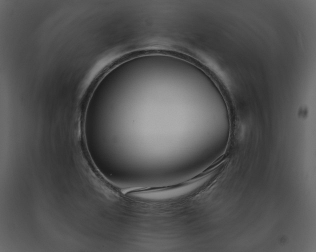 X0000091511368200708241620