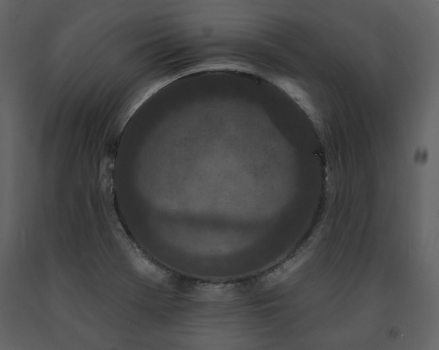 X0000091511369200708241620