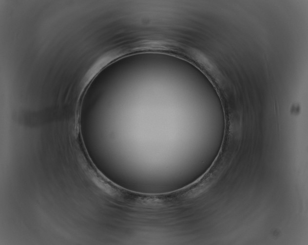 X0000091511370200708241620