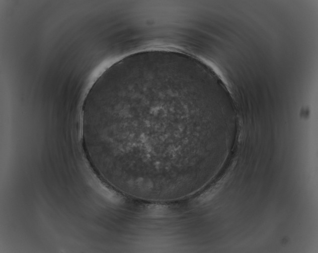 X0000091511371200708241620