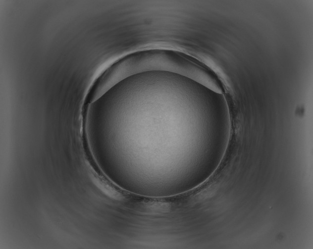 X0000091511372200708241620
