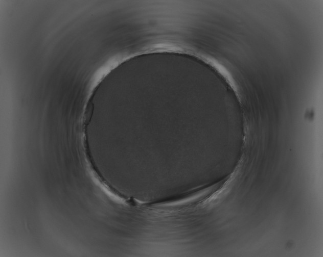 X0000091511373200708241620
