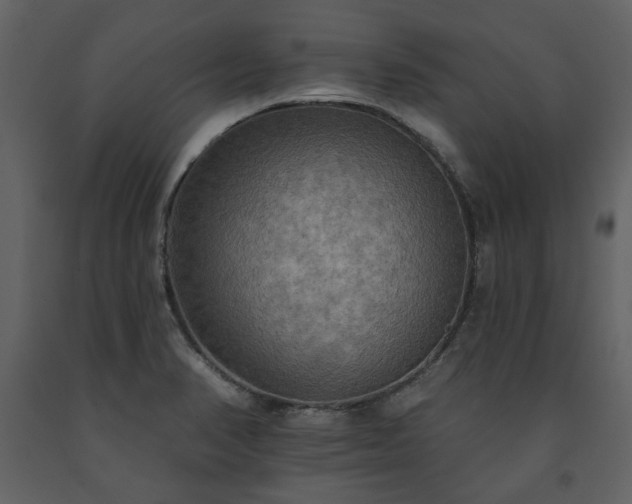 X0000091511374200708241620