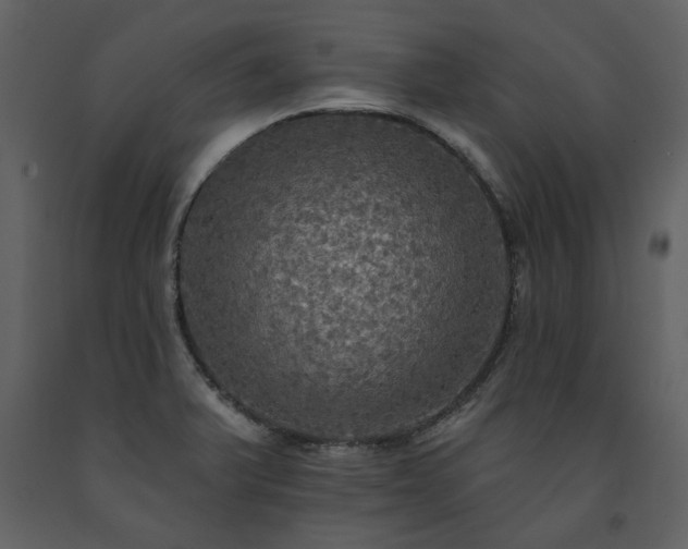 X0000091511375200708241620