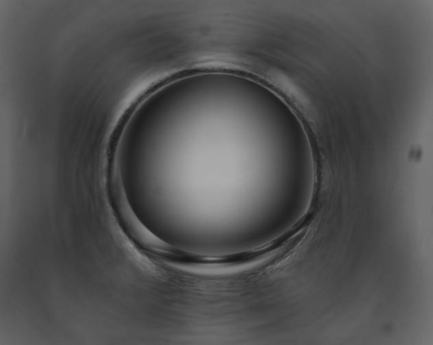 X0000091511376200708241620