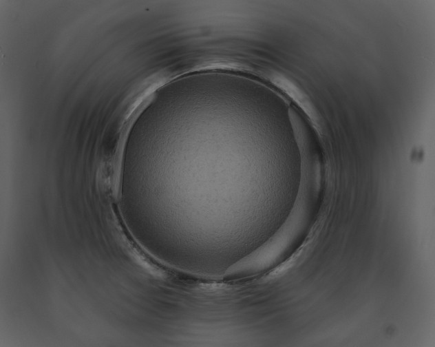 X0000091511377200708241620
