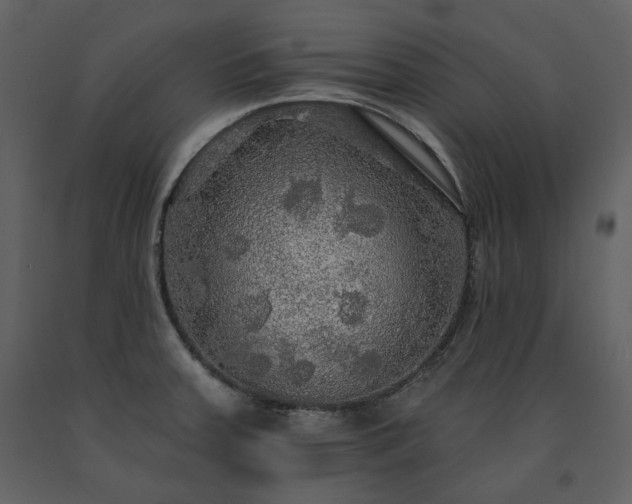 X0000091511379200708241620