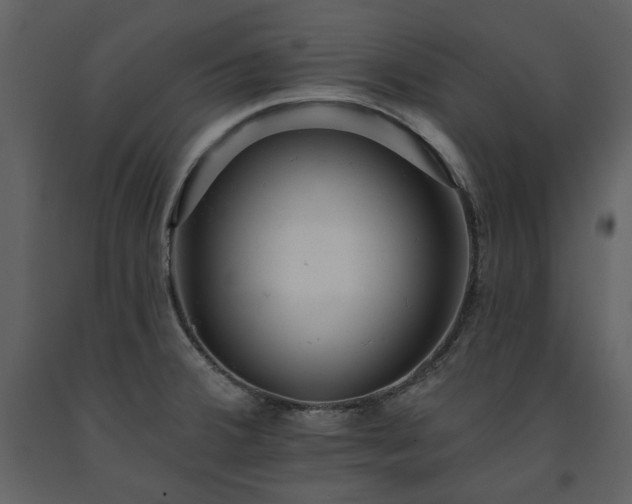 X0000091511380200708241620