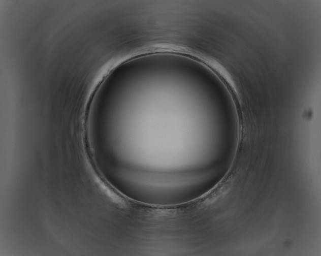 X0000091511381200708241620