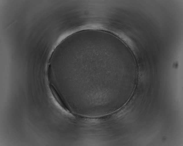 X0000091511382200708241620