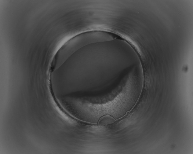 X0000091511383200708241620