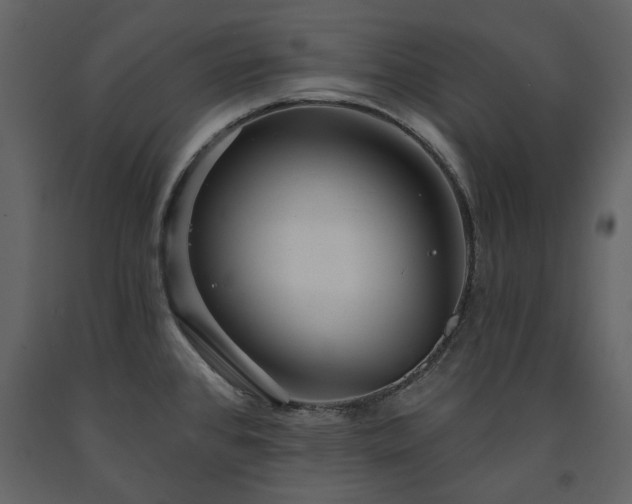 X0000091511384200708241620