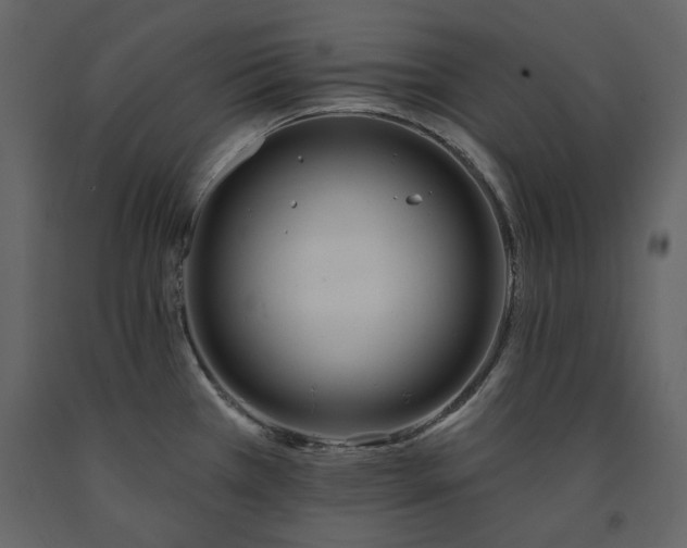 X0000091511385200708241620