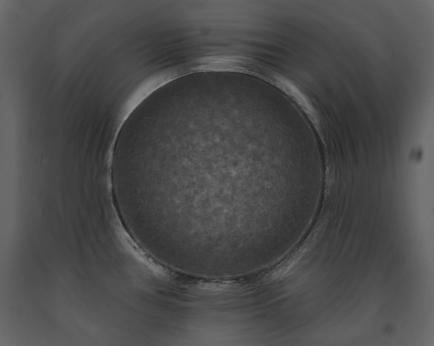 X0000091511386200708241620