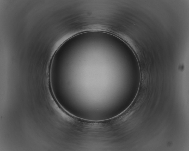 X0000091511387200708241620