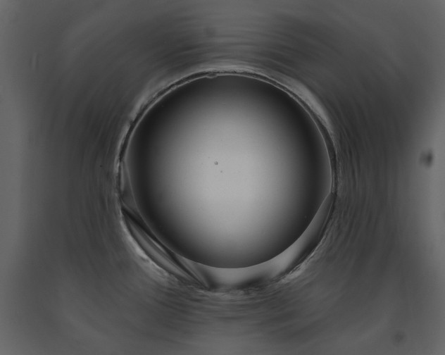 X0000091511388200708241620