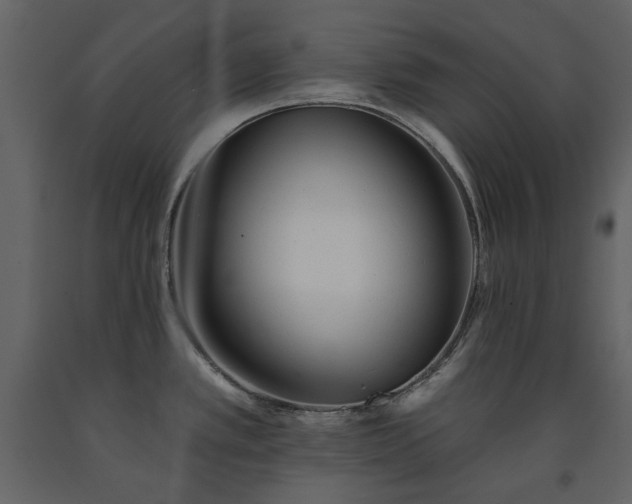 X0000091511389200708241620