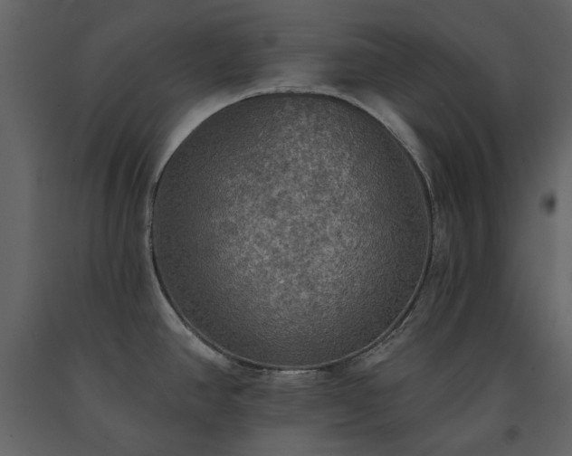 X0000091511390200708241620