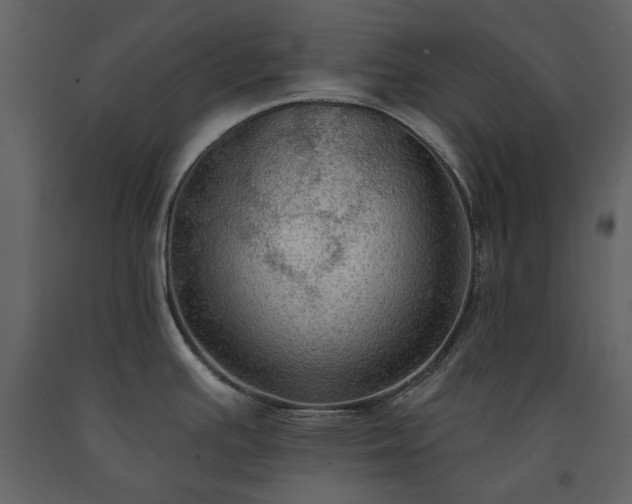 X0000091511391200708241620