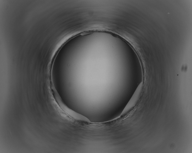X0000091511392200708241620