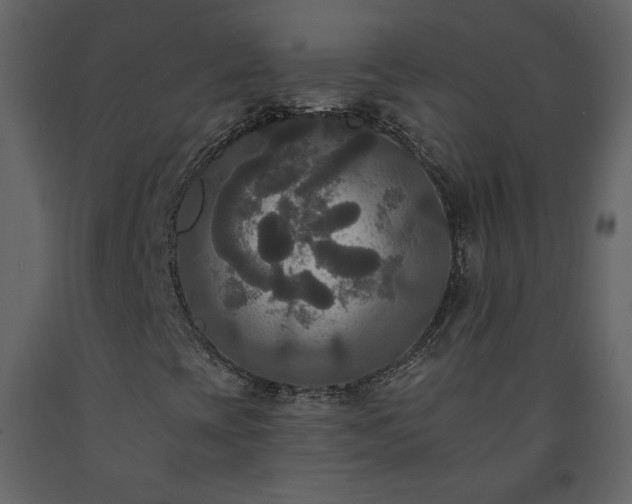 X0000091511393200708241619