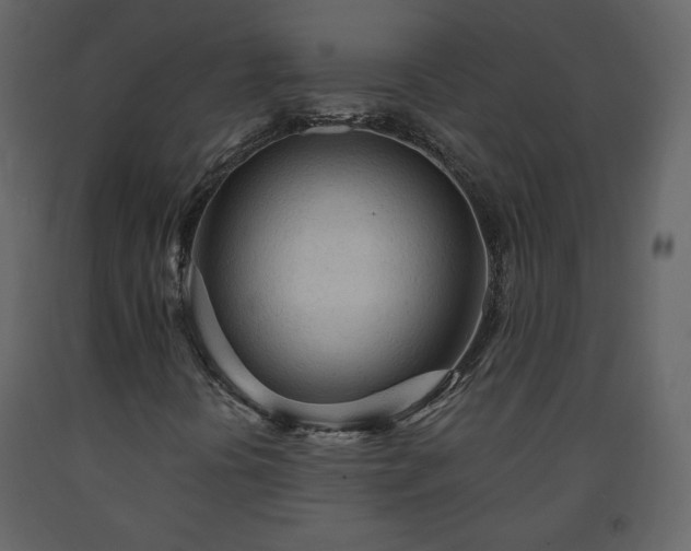 X0000091511394200708241620