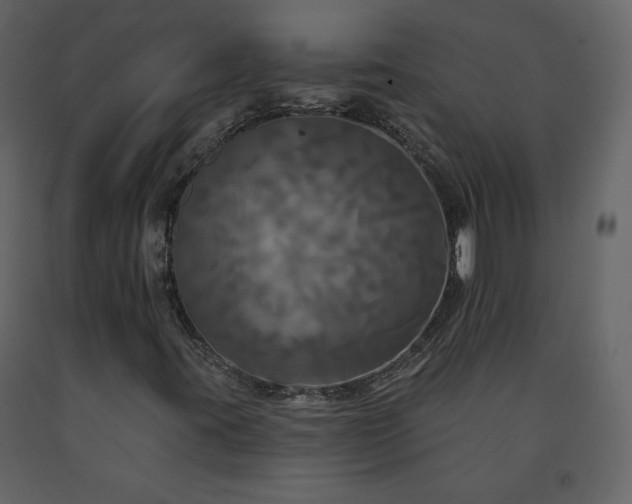 X0000091511395200708241620