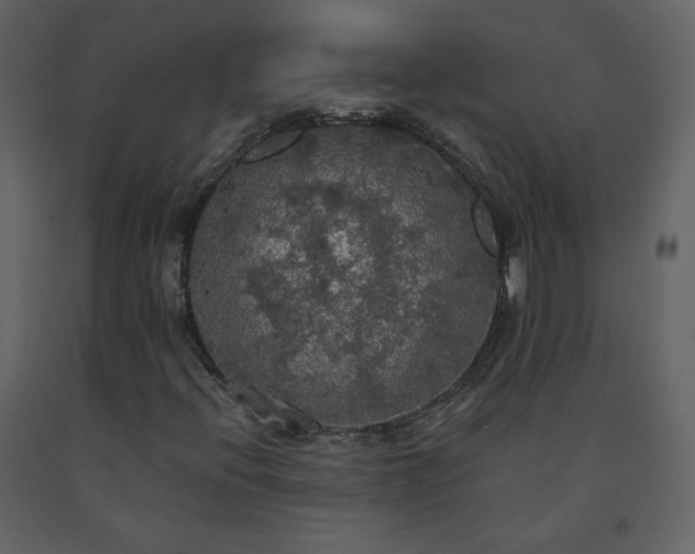 X0000091511396200708241620