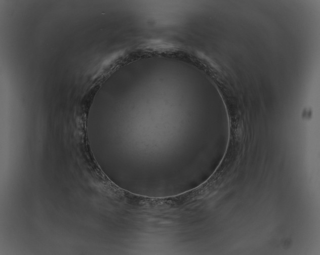 X0000091511397200708241620