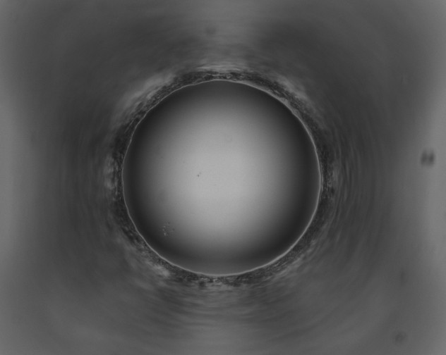 X0000091511398200708241620