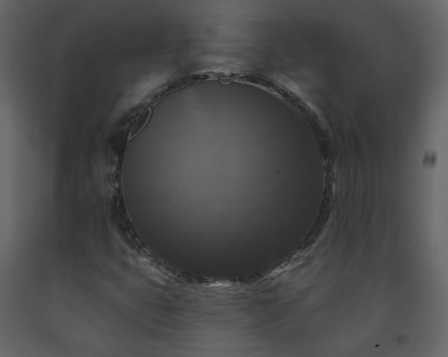 X0000091511399200708241620