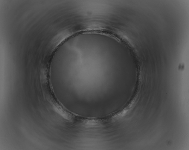 X0000091511401200708241620