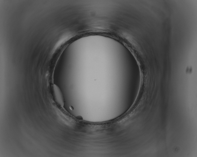 X0000091511402200708241620