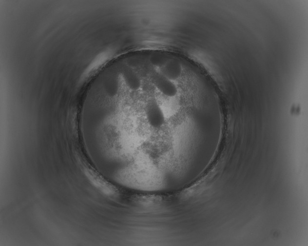 X0000091511403200708241620