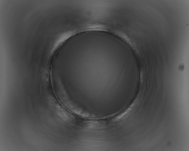X0000091511405200708241620