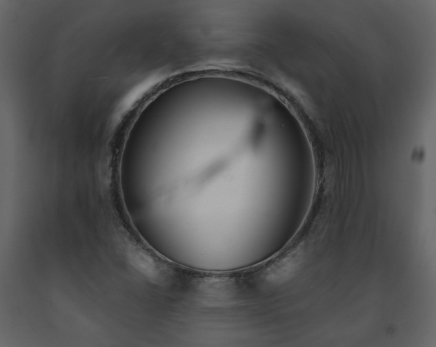 X0000091511406200708241620