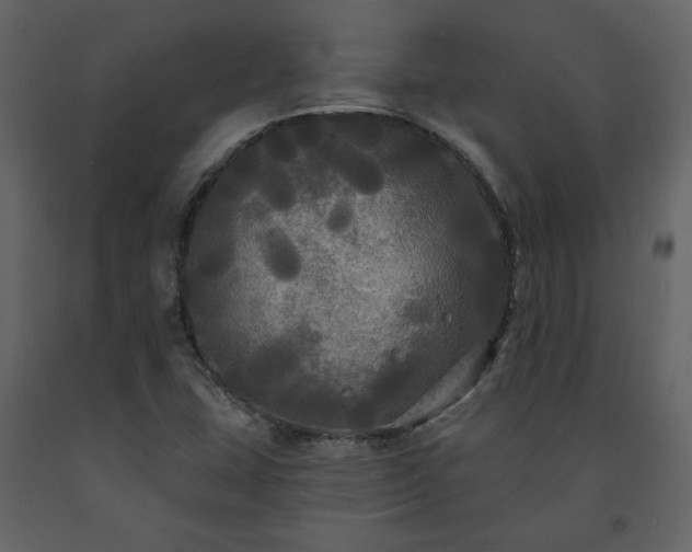 X0000091511407200708241620