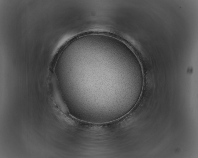X0000091511408200708241620