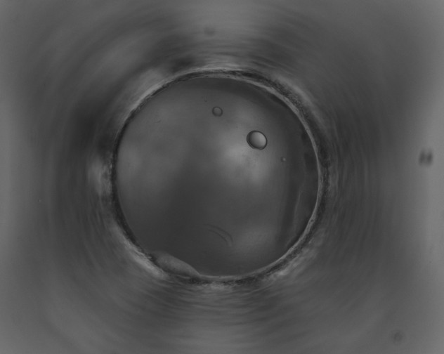 X0000091511409200708241620