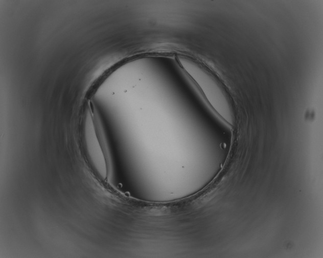 X0000091511410200708241620