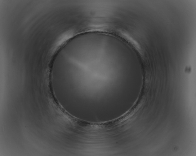 X0000091511411200708241620
