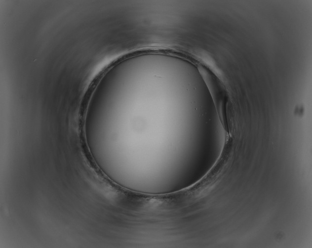 X0000091511412200708241620