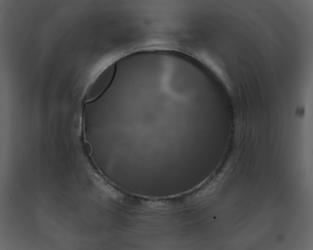 X0000091511413200708241620