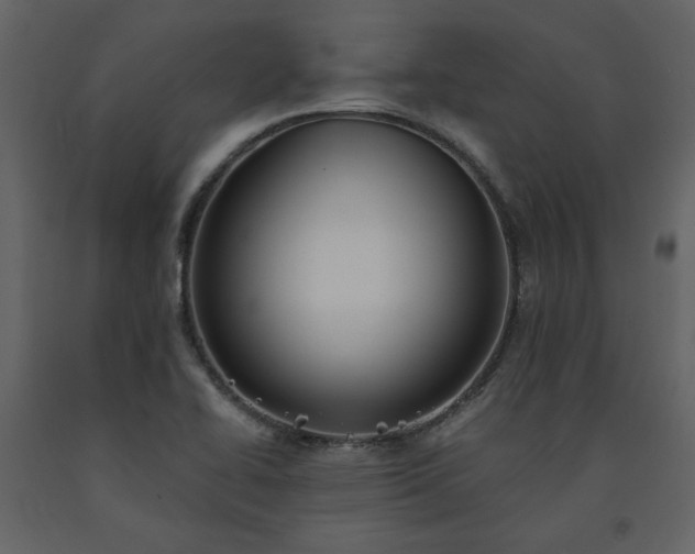 X0000091511414200708241620