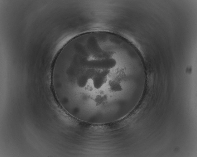 X0000091511415200708241620