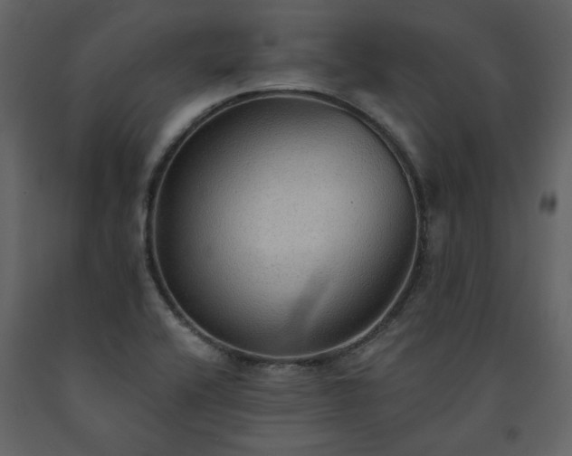 X0000091511416200708241620