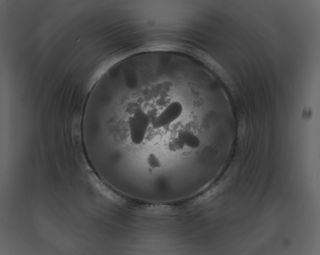 X0000091511417200708241620
